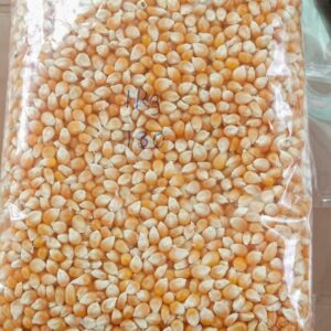 Imported Popcorn Seed 1 KG