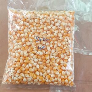 Imported Popcorn seed 250 gms