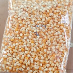 Imported Popcorn seed 500 gms
