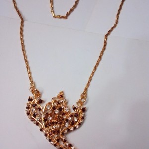 Dollar Chain 007 Gold Covering