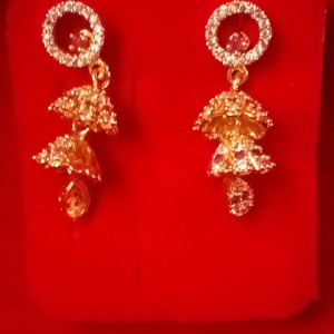 Ear Ring 030 Gold Covering