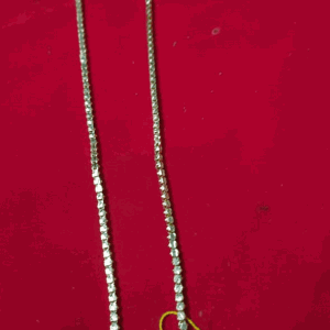 10 Pudi Dollar Chain