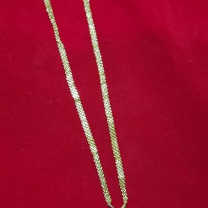 Short Chain with Dollar