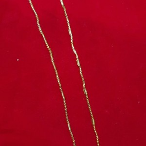 Short Chain with Dollar