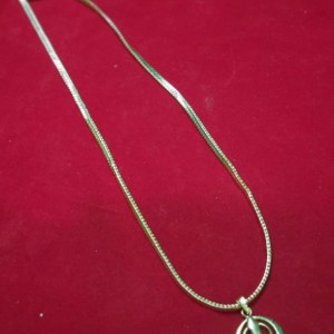 Short Chain with Dollar