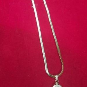 Short chain with Dollar