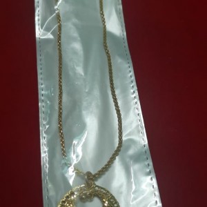 Short chain with Dollar