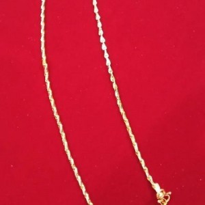 Short Dollar Chain-7669