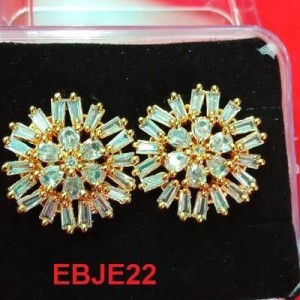Ear Rings-6491
