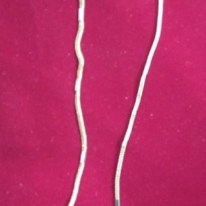 Short Chain-10561