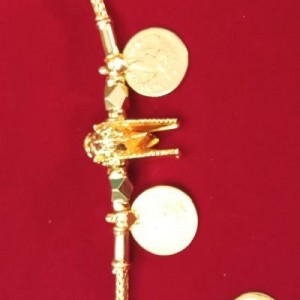 Thali-10131