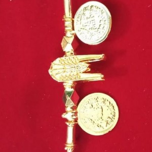 Thali-10133