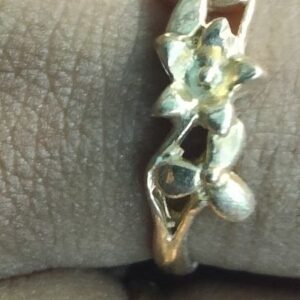 Rings-62728