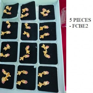 5 PIECE EAR RING - Rs. 320
