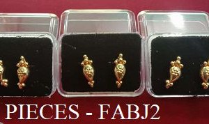 3 PIECE EAR RING - Rs. 120