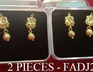 2 PIECE EAR RING - Rs. 140