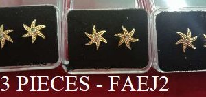 3 PIECE EAR RING - Rs. 150