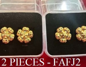 2 PIECE EAR RING - Rs. 160
