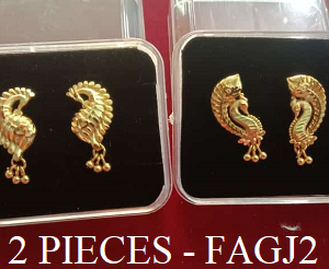 2 PIECE EAR RING - Rs. 170