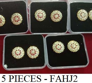 5 PIECE EAR RING - Rs. 180