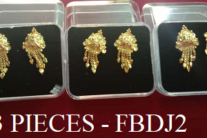3 PIECE EAR RING - Rs. 240