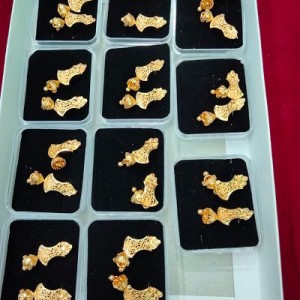5 PIECE EAR RING - Rs. 250