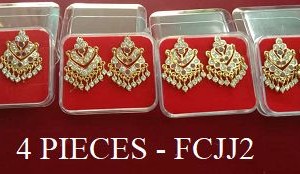 4 PIECE EAR RING - Rs. 300