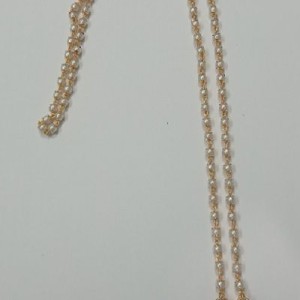Pearl Dollar Chain