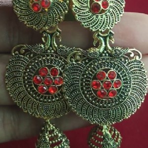 Fancy Earing
