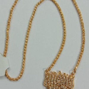 Dollar Chain