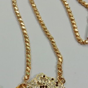Iympon Dollar Chain