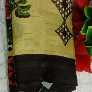 Sizzling Saree