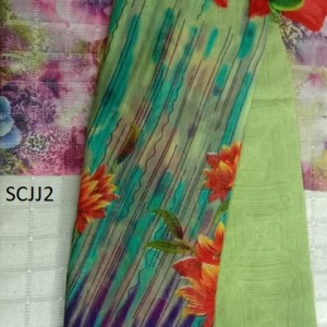 Twinkling Saree