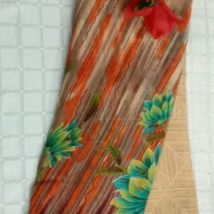 Twinkling Saree