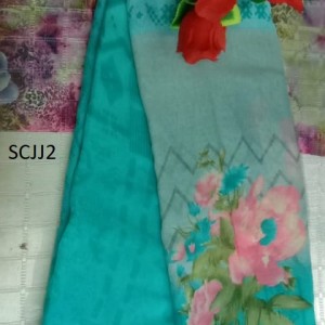 Twinkling Saree