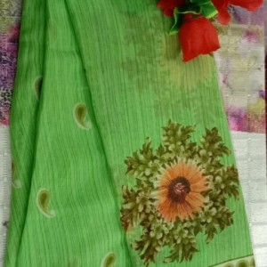 Twinkling Saree