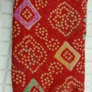 Twinkling Saree