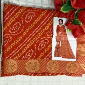 Adorable Saree