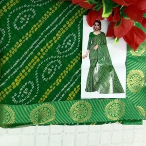 Adorable Saree