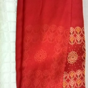 Inspiring Saree