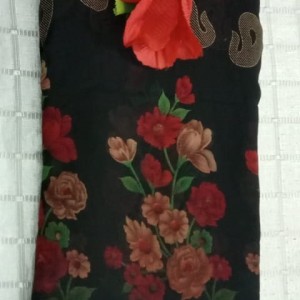 Inspiring Saree
