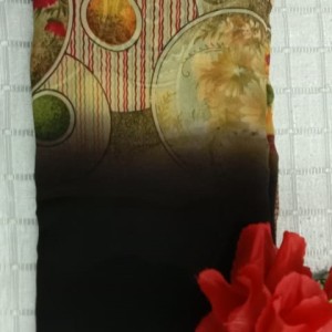 Inspiring Saree