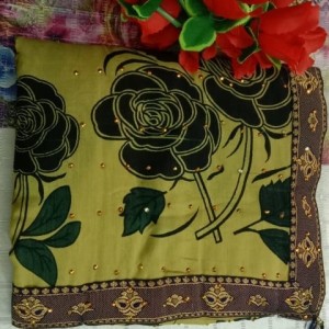 Adorable Saree