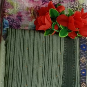 Adorable Saree