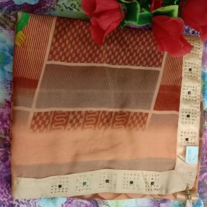 Ethnic Saree