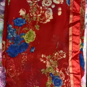 Ethnic Saree