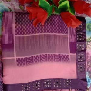 Ethnic Saree