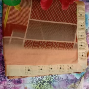 Ethnic Saree