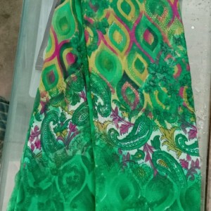 Ethnic Saree