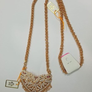 Traditional Gold Covering Dollar Chain